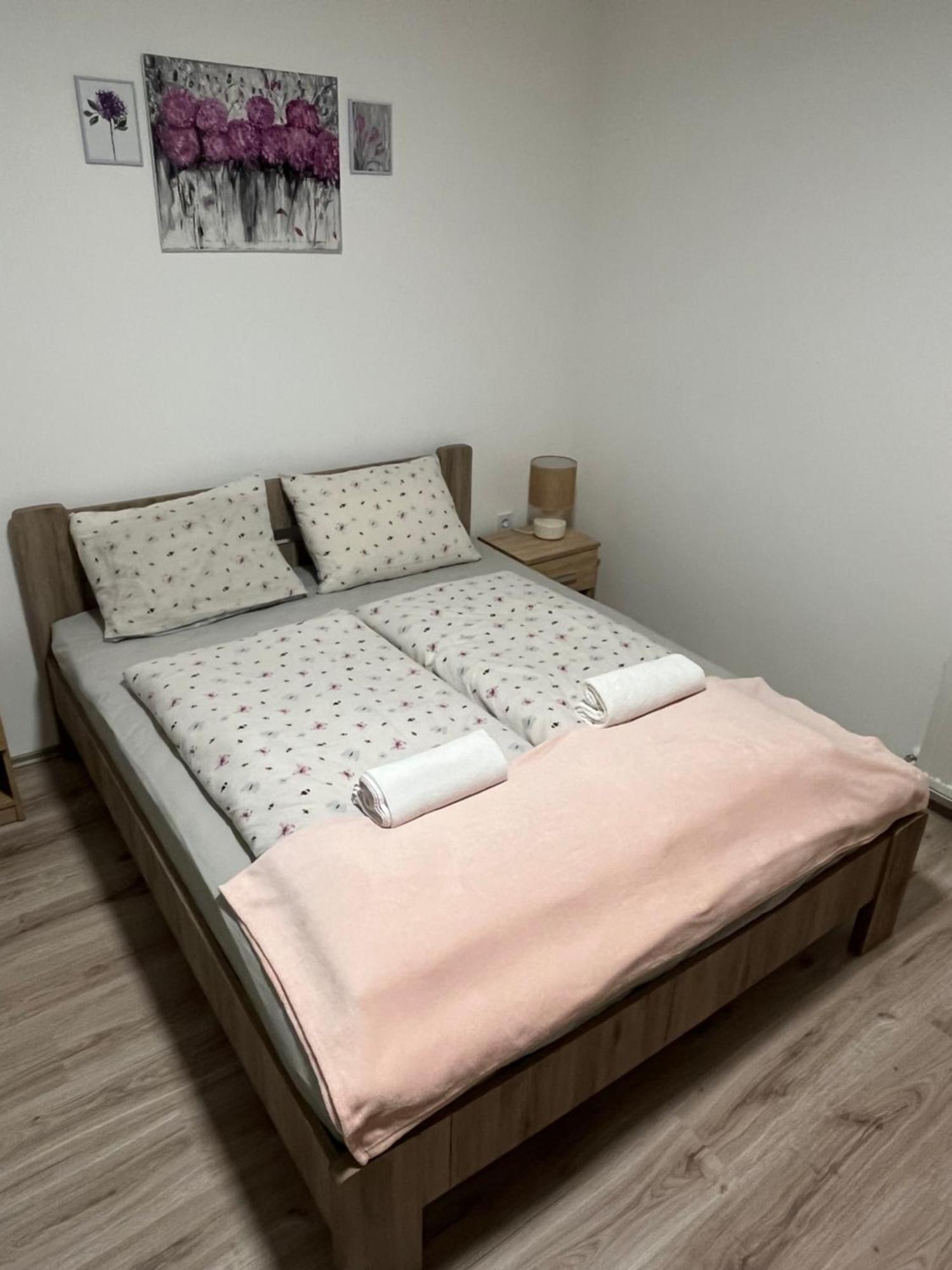 Mini Zoo Apartman นาชคานีจา ภายนอก รูปภาพ